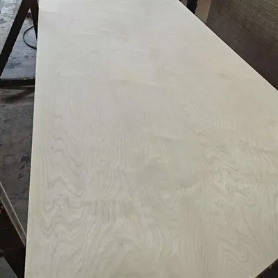 완전한 자작 나무 합판